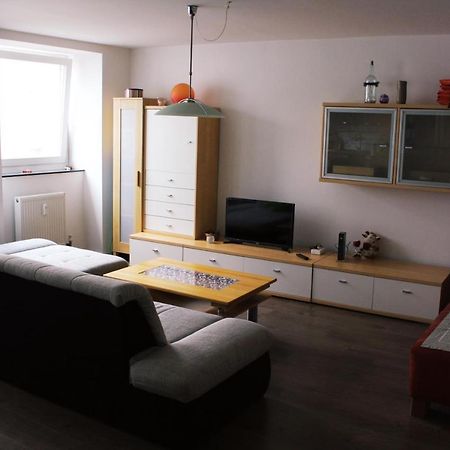 Full Flat 3 Bedrooms Saarbrucken Center -11 People Exteriér fotografie